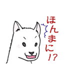 紀州犬 ぎんのすけ ～紀州弁Ver.～（個別スタンプ：14）