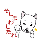 紀州犬 ぎんのすけ ～紀州弁Ver.～（個別スタンプ：24）