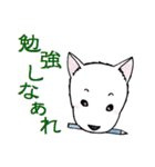 紀州犬 ぎんのすけ ～紀州弁Ver.～（個別スタンプ：30）