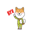 The Dogs - Shiba Inu 'Rui'（個別スタンプ：19）