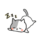 ねこすけ（個別スタンプ：6）