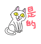 アジアン猫（個別スタンプ：1）