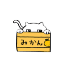 猫のしらたま（個別スタンプ：31）