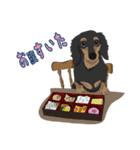 Cute Dachshund！！（個別スタンプ：5）