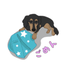 Cute Dachshund！！（個別スタンプ：15）