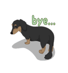 Cute Dachshund！！（個別スタンプ：40）