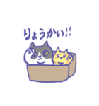 箱入り猫（個別スタンプ：1）