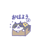 箱入り猫（個別スタンプ：8）