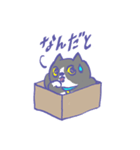 箱入り猫（個別スタンプ：14）