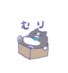 箱入り猫（個別スタンプ：19）