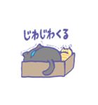 箱入り猫（個別スタンプ：27）