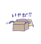 箱入り猫（個別スタンプ：30）