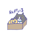 箱入り猫（個別スタンプ：38）