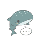 Shark and Whale Shark（個別スタンプ：1）