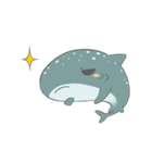 Shark and Whale Shark（個別スタンプ：13）