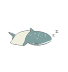 Shark and Whale Shark（個別スタンプ：14）