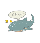 Shark and Whale Shark（個別スタンプ：34）