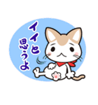 イラねこ（個別スタンプ：2）