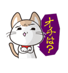 イラねこ（個別スタンプ：4）