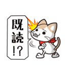 イラねこ（個別スタンプ：5）