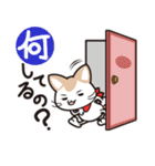 イラねこ（個別スタンプ：19）