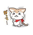 イラねこ（個別スタンプ：23）