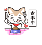 イラねこ（個別スタンプ：30）