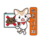 イラねこ（個別スタンプ：34）