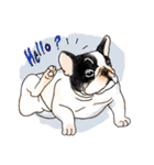 French Bulldog in the house part2（個別スタンプ：23）