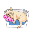 French Bulldog in the house part2（個別スタンプ：24）