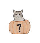 ハロウィン ねこ スタンプ（個別スタンプ：11）