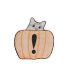 ハロウィン ねこ スタンプ（個別スタンプ：12）