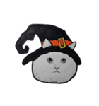 ハロウィン ねこ スタンプ（個別スタンプ：20）