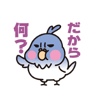 ぷにインコと毒インコ（個別スタンプ：8）