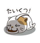 猫は友達（個別スタンプ：13）