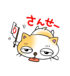 脱力ねこ（個別スタンプ：13）