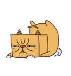 箱猫さん（個別スタンプ：31）