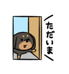 可愛いわんこたち（個別スタンプ：40）