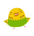 へちゃインコ（個別スタンプ：3）