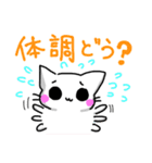 ゆる気づかいねこ（個別スタンプ：3）