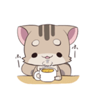 りすねこ（個別スタンプ：5）