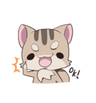 りすねこ（個別スタンプ：19）