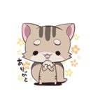 りすねこ（個別スタンプ：23）