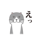 ぶさかわ猫（個別スタンプ：14）