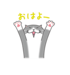 ぶさかわ猫（個別スタンプ：38）