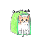 Life of Chihuahua(English)（個別スタンプ：2）