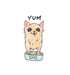 Life of Chihuahua(English)（個別スタンプ：11）