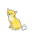 Life of Chihuahua(English)（個別スタンプ：36）