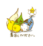 ぺっとり♪vol.02（インコ）（個別スタンプ：23）