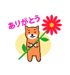 柴犬タローの日常（個別スタンプ：3）